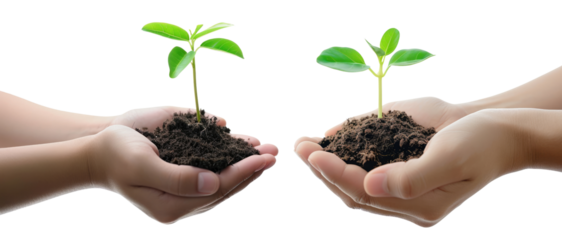 collection of a pair of Hands holding young plants that are sprouting isolated transparent background