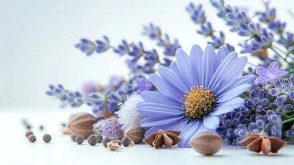 Artistic close-up of healing herbs and spices, chamomile, lavender, and cloves, on a serene white backdrop