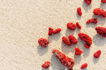Natural Red Corals Composition on beach sand background. Minimal flat lay of variety shapes coral pieces on sandy coastal sea. Creative top view photo pattern at sunlight. Tranquil, harmony scene