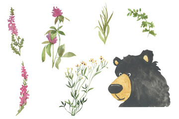 Simple watercolor drawing of a bear for logo, label