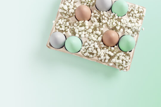 Pastel Easter Eggs with white Flowers in Carton box on mint Background, top view chicken egg painted turquoise beige colors. Easter celebration concept. Festive food, minimal still life holiday