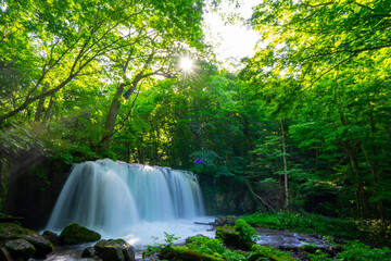 Fototapete bei efototapeten.de bestellen   