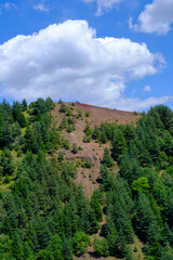 Obraz premium Sommet d'un vieux volcan éteint (Puy de Lassolas, Auvergne)