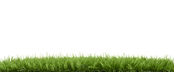 Natural view of grass hills on transparent background