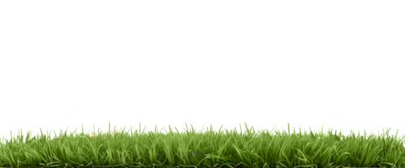 Natural view of grass hills on transparent background