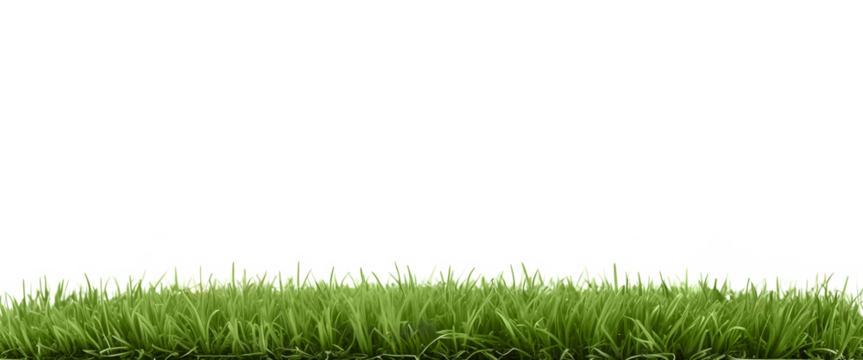 Natural view of grass hills on transparent background