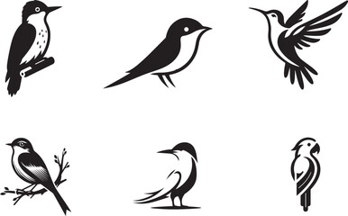 Fototapeta premium Bird silhouette vector illustration