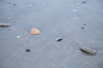 Strand, Sand, Muscheln