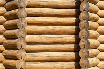 Different tree planks structure in fence and planks.