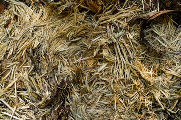 Different tree planks structure in fence and planks.