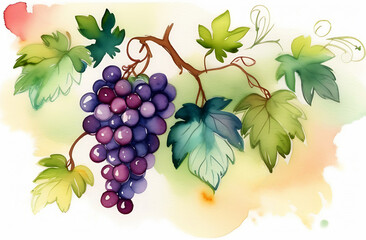 Obraz premium Watercolor postcard with bunches of blue grapes on a branch on a white background