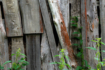 Different tree planks structure in fence and planks.