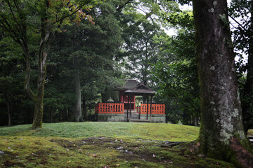 日本の庭園風景、雨の日
