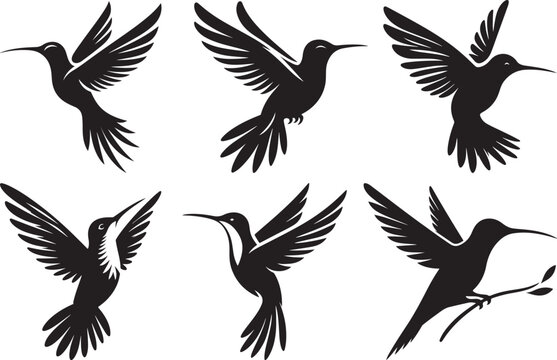Hummingbird silhouette vector illustration