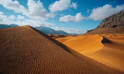 Fototapeta na wymiar High bright dunes in the desert