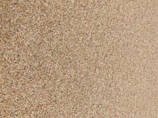 full frame close-up shot of clear brown wet sand on the beach in natural daylight, using for background