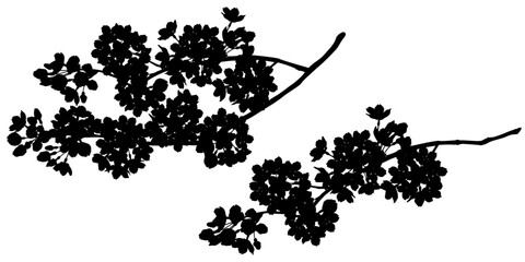 エレガントな桜の花のシルエット