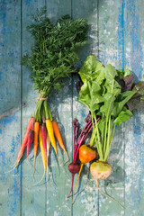 Fresh colorful carrots bunch and beet on a blue wooden background. Organic farm vegetables. Top view.