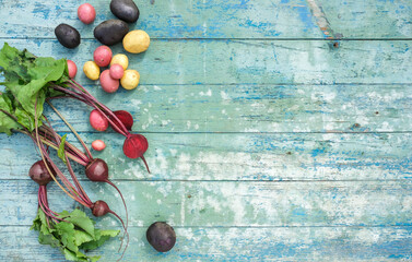 Colorful potatoes and young beets with tops on a blue wooden background. Organic farm vegetables. Copy space, top view.