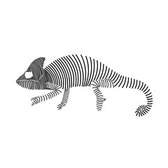 Fototapeta na wymiar Simple line art illustration of a chameleon 1