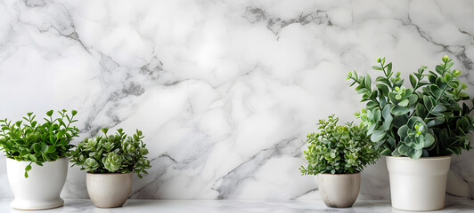 white marble with potted plants. with copy space