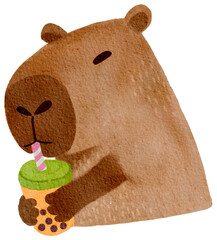 watercolor cartoon drawing cute Capybara