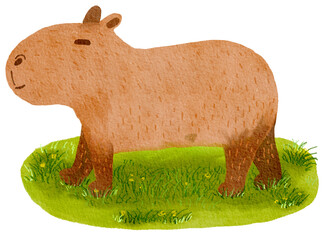 watercolor cartoon drawing cute Capybara