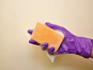 Hand in glove holding sponge