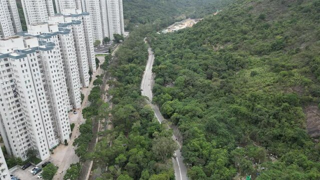 the Mui Tsz Lam Tai Shui Hang Stream Feb 24 2024
