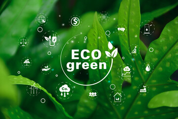 Fototapeta na wymiar Green forest with the icon environment of ESG, co2, circular company, and net zero. Technology Environment, Organization Sustainable development environmental. 