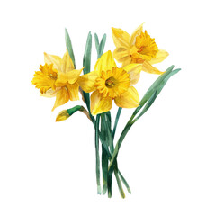 A beautiful watercolor image of a bunch of yellow daffodils with green stems and leaves, isolated on a plain white background.

