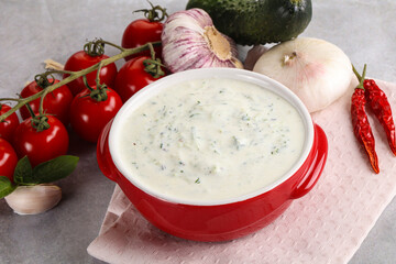 Traditional delicious appetizer; greek tzatziki (Turkish name; cacik)