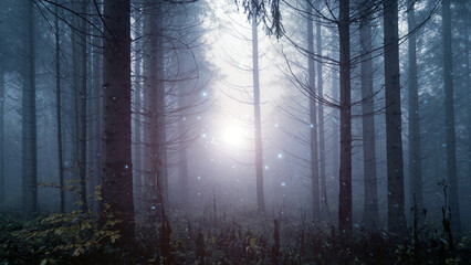 Magical foggy fairy tale forest with fireflies.