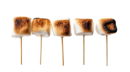 Toasted marshmallow on a stick isolated on transparent a white background