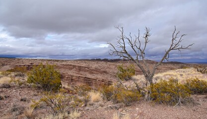 panoramic views while hiking in  the box canyon recreation area in winter on a stormy day,  near socorro,  new mexico