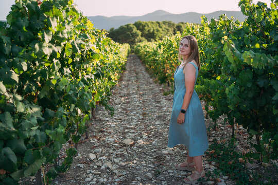 A girl in a blue sundress stands on a vine alley in a vineyard. Mountains in the background, sunset. Vineyards at the winery