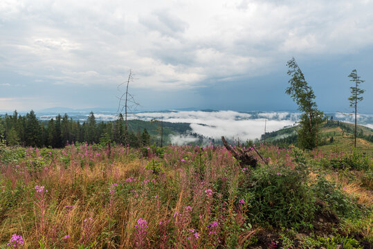 Hills partly covered by clouds - view from Spisska Magura mountains above Zdiar village in Slovakia