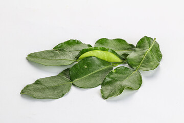 Aroma seasoning kaffir lime leaves