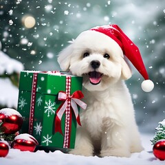A bichon frise dog wearing a red santa hat and a green scarf, holding a gift box in its mouth, surrounded by snowflakes