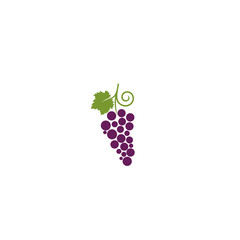 Grapes with leaf icon isolated on white background © sljubisa