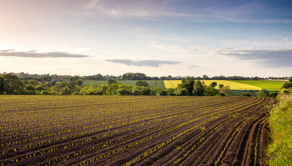 Paysage agricole au milieu de la campagne au printemps en France - 745061607