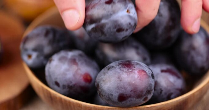 Wet purple plum on the table, delicious fresh harvest of oval-shaped and purple-colored plums in drops of water
