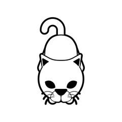 Cat looks up. Pet looks at its owner. Cats sign icon