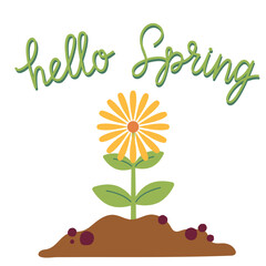 Hello spring card with blooming flower on white background. Gardening and welcome spring concept. Vector illustration for poster, icon, card, logo, label, banner, sticker.