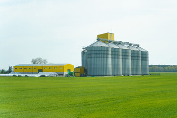 Modern Grain Silos And Storage Buildings On A Rural Farmland During Springtime