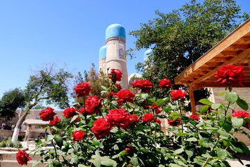 Roses in front of the Khor Minor Mandrasa Bukhara, Uzbekistan