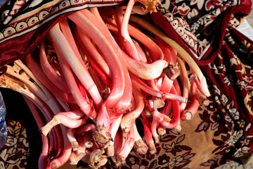 Rhubarb for sale on Takhta Karacha Mountain pass, Uzbekistan