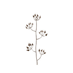 watercolor foliage isolated clip art of leaves and flowers, blue, beige, line