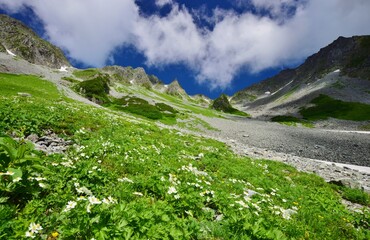北アルプス 涸沢カール　夏景色