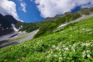北アルプス 涸沢カール　夏景色